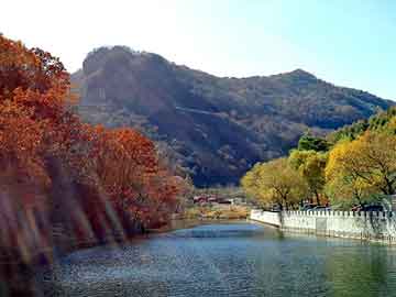 新澳天天开奖资料大全旅游团，矿泉水瓶盖